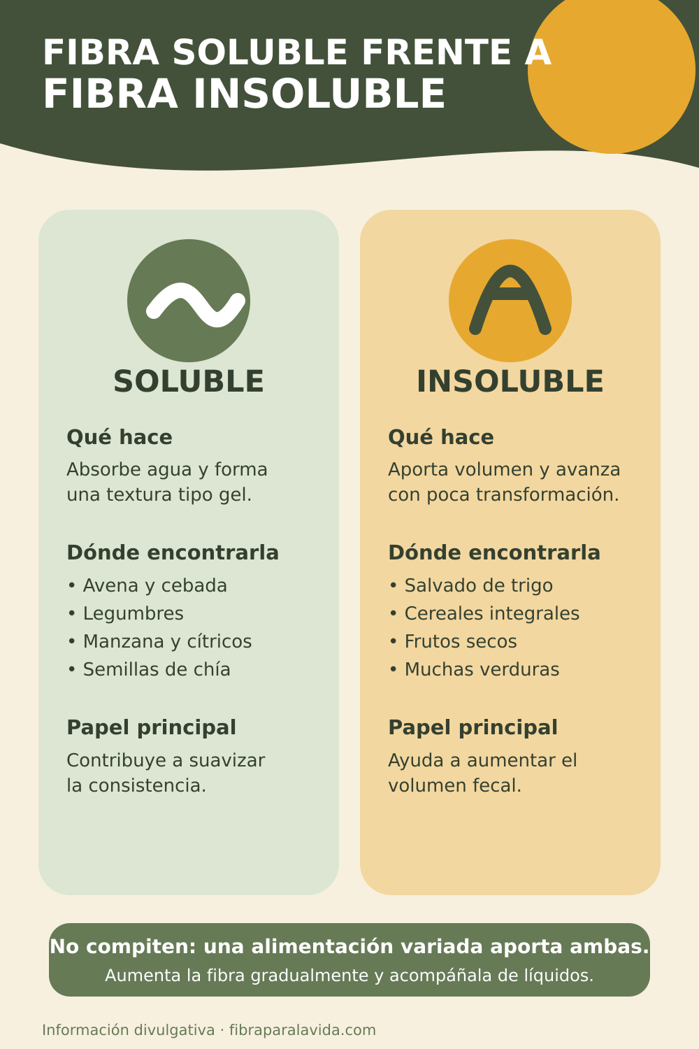 Infografía comparativa entre fibra soluble y fibra insoluble